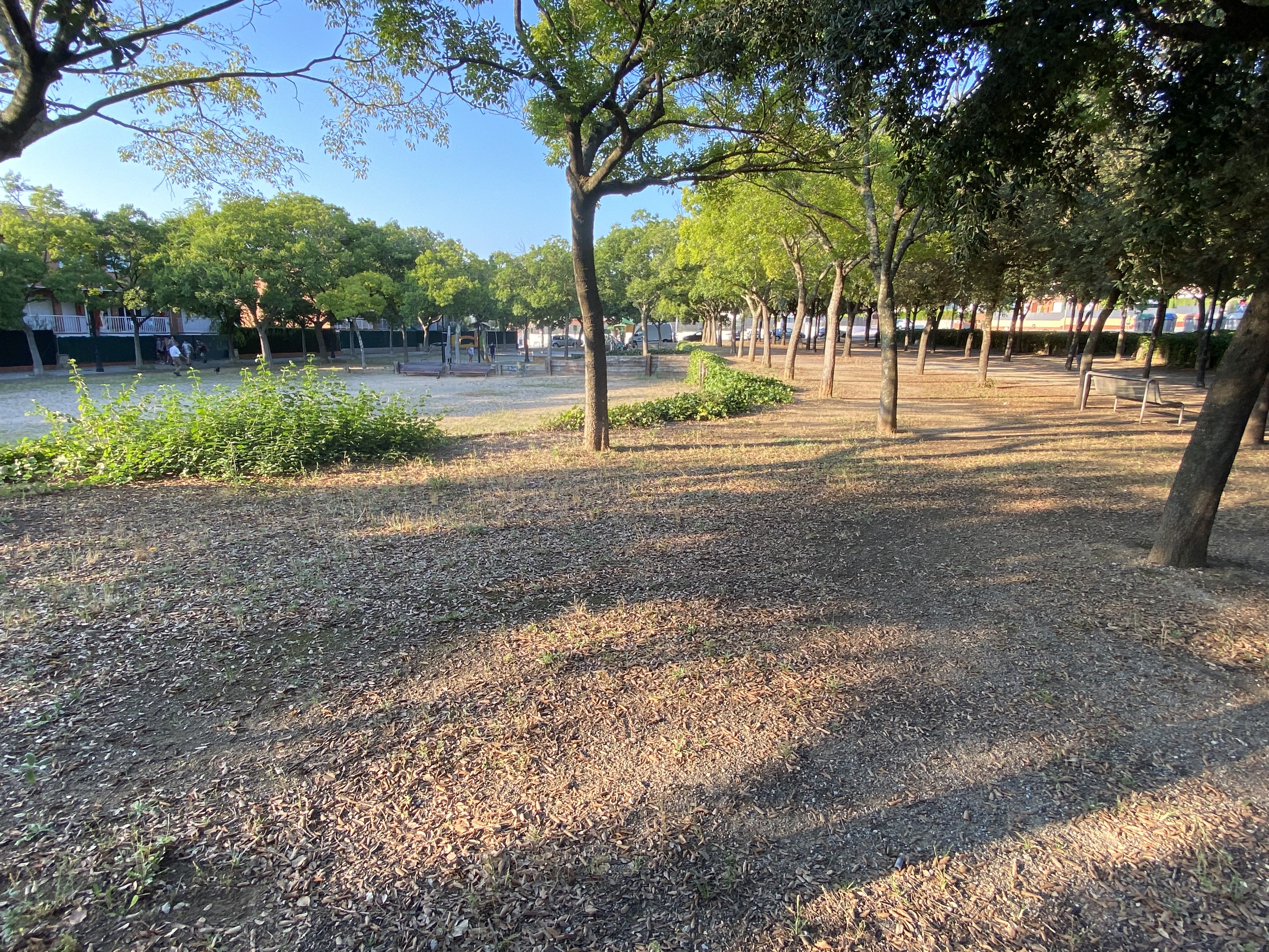 Parc de Francesc Sabaté i Llopart